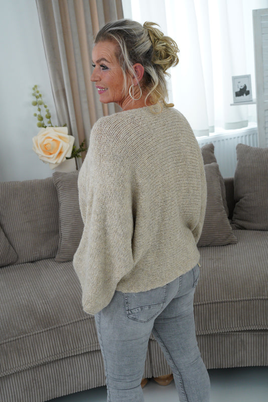 Pullover in Beige (38-42)