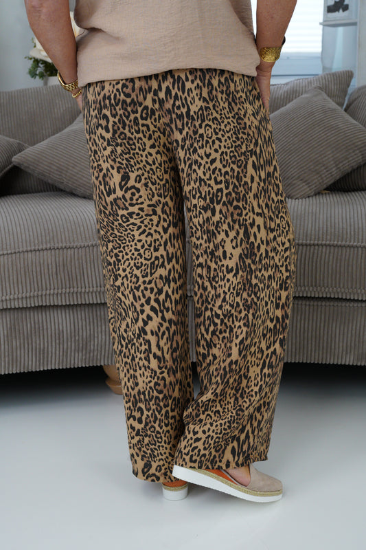 Leo-Hose in Camel (38-42)