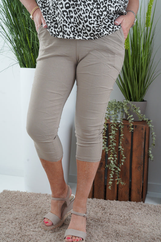 Capri Hose in Taupe (38-42)