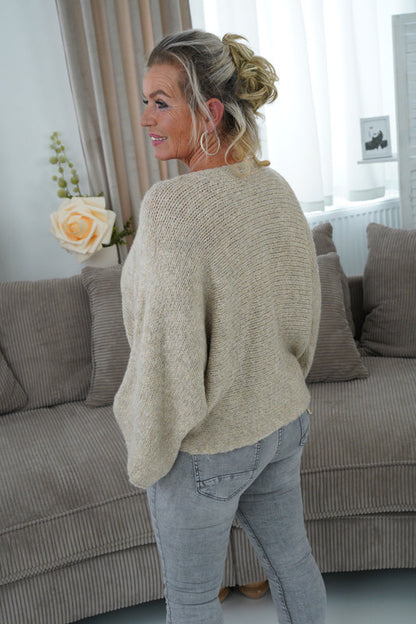 Pullover in Beige (38-42)