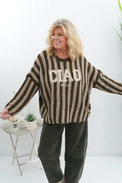 Ausgefallener Pullover in Khaki-Beige mit besonderem Print (38-44)