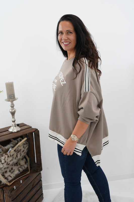 Sweatshirt in Taupe (42-46+)