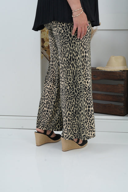 Hose in Leo (38-42)